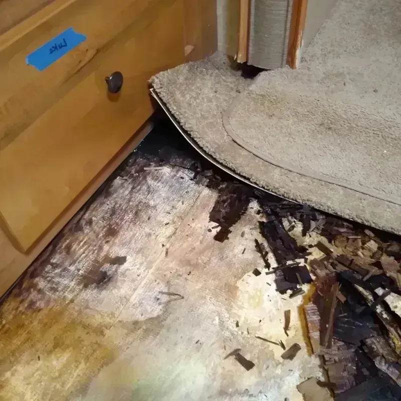 Wood Floor Water Damage in Glendora, NJ